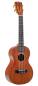 Preview: ukulele